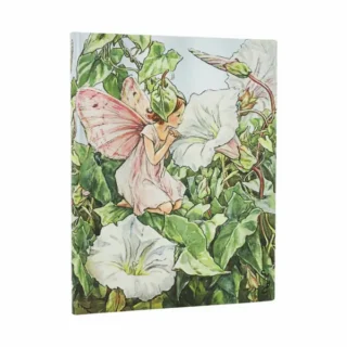 Bindweed Fairy