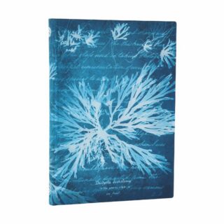 Sea Flowers-Anna Atkins’ Cyanotypes