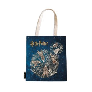 Legends of Hogwarts-Harry Potter